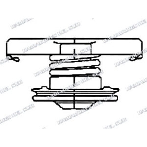 TAPA RADIADOR DE AGUA D 38x11.5 10 Lbs.