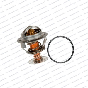 TERMOSTATO FORD CARGO 1317/1722/1730/1831/263191/0
