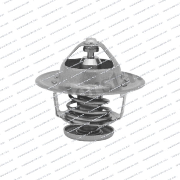 TERMOSTATO FIAT DUCATO 2.5/2.8 D/TD/JTD PEUG. BOXE